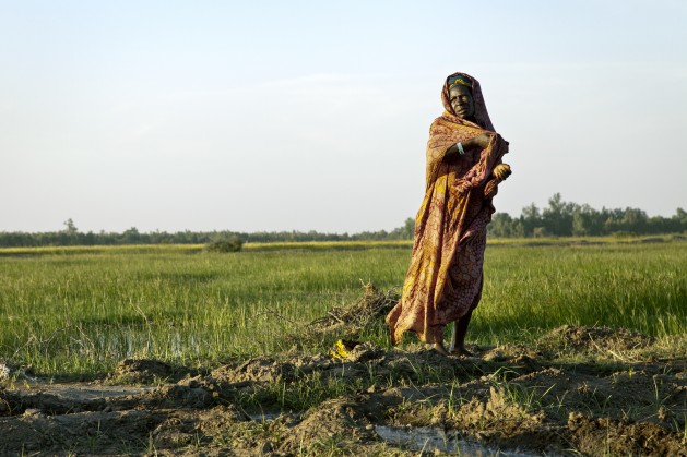 Women are the backbone of the farming sector and have a crucial role to play in improving nutrition through food preparation and the education of children. Credit: UN Photo/Marco Dormino